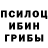Псилоцибиновые грибы мухоморы Umar Uktamov