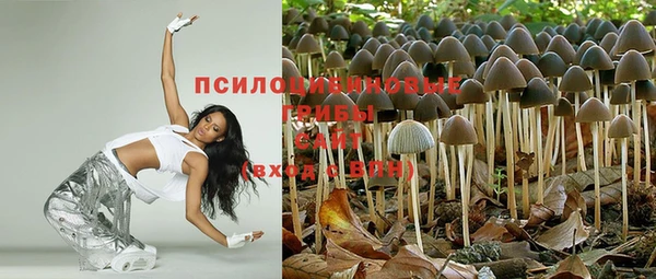 дмт Снежногорск