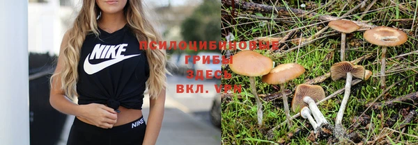 марки nbome Бугульма