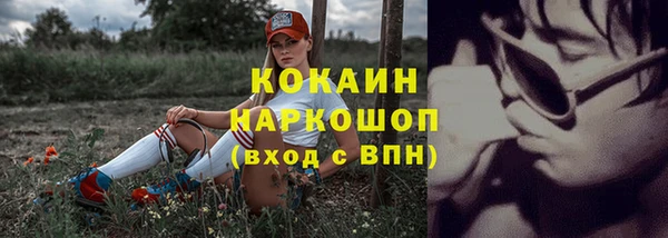 стаф Бронницы