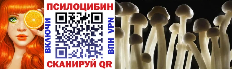 Псилоцибиновые грибы ЛСД  Ростов 